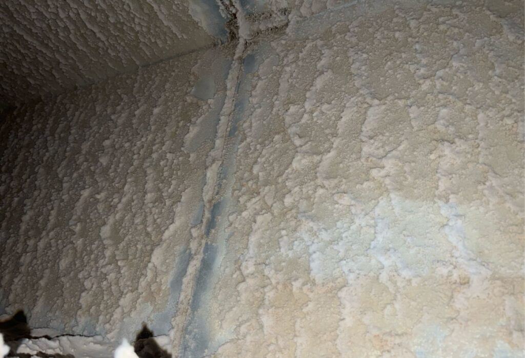 1BEFORE e1760548328924 Premier Grease