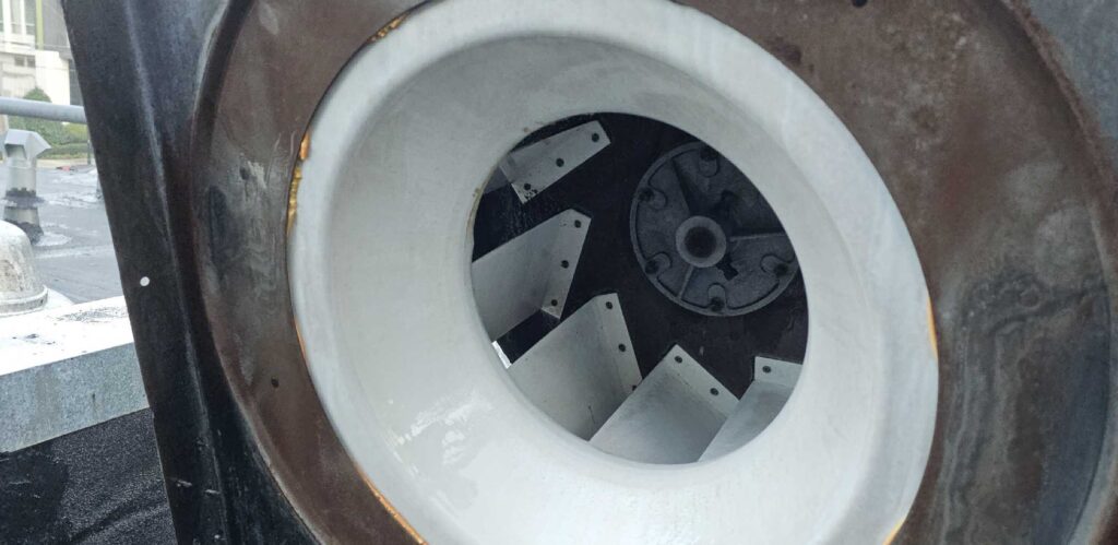 3AFTER 1 e1759772915424 Premier Grease