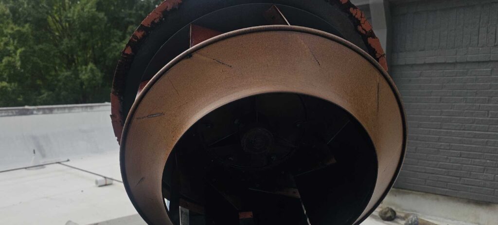 67078c2a 292a 4378 a4f0 1aa7df1086ce e1761163198213 Premier Grease