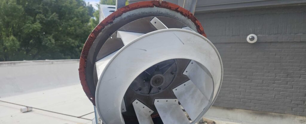 Picture7 1 e1760543377639 Premier Grease